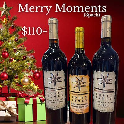 Product Image for Merry Moments 2025